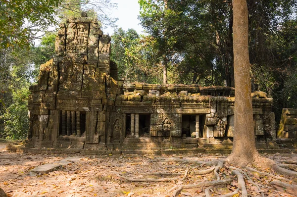 Chrám Ta Prohm v komplexu Angkor Wat — Stock fotografie