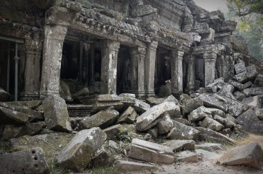 ta prohm Tapınağı