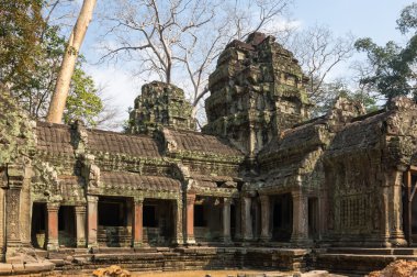 ta prohm Tapınağı