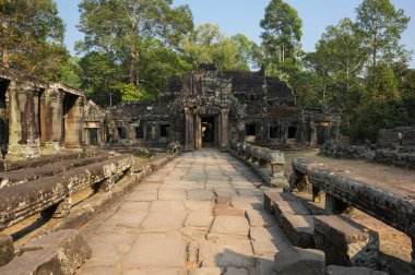 ta prohm Tapınağı