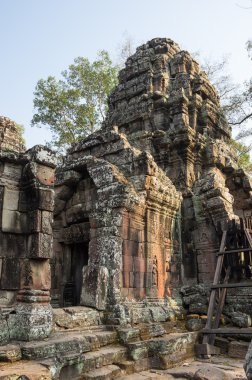 ta prohm Tapınağı