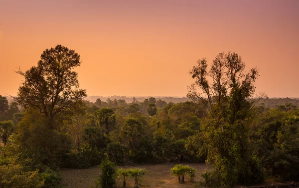 Pôr do sol sobre a selva — Fotografia de Stock