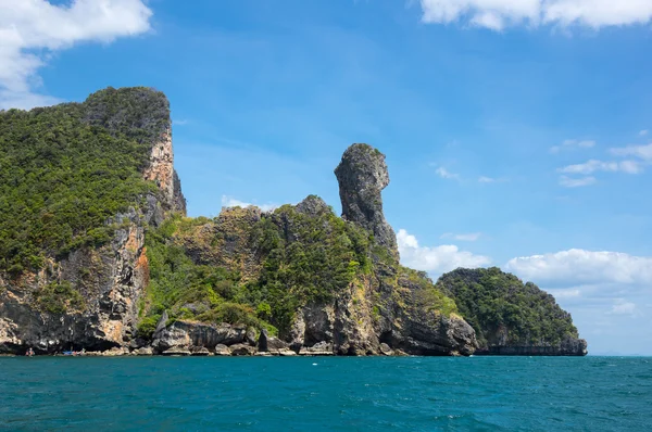 Vista de la isla de pollo — Foto de Stock