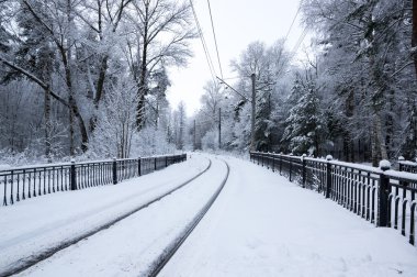 Kışın tren istasyonu