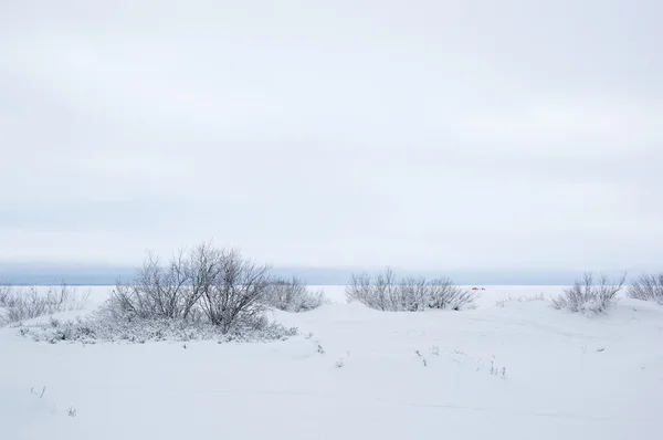 Fince Körfez kışın — Stok fotoğraf