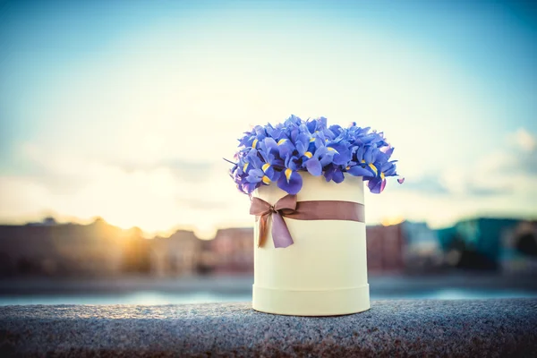 Bouquet of flowers — Stock Photo, Image