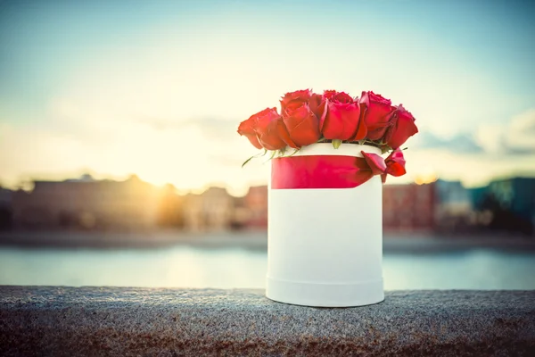 Beautiful bouquet of flowers — Stock Photo, Image