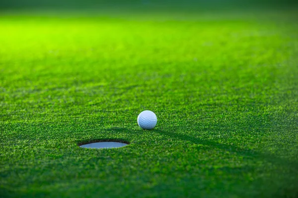 Pallina da golf sul prato — Foto Stock