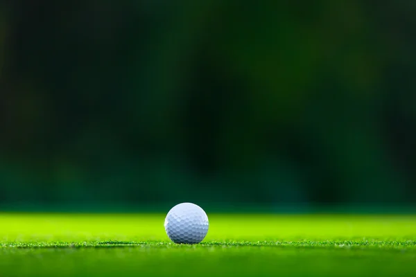 Pallina da golf sul prato — Foto Stock