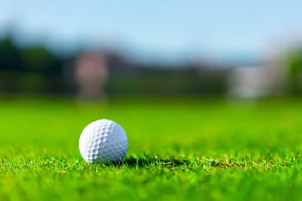 Мяч для гольфа на газоне Стоковое Изображение