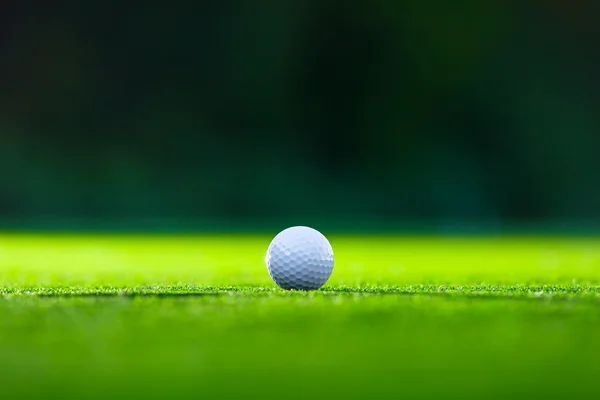 Pelota de golf en el césped — Foto de Stock