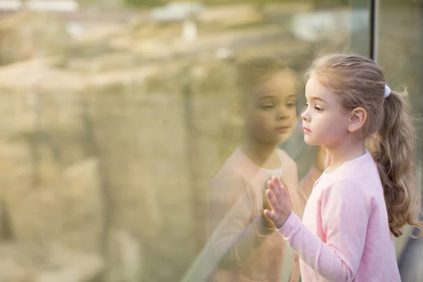 動物園の小さな女の子 — ストック写真