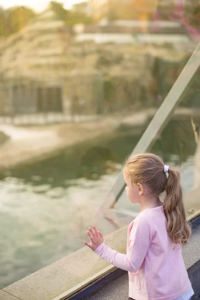 Beautiful girl in zoo — Stock Photo, Image