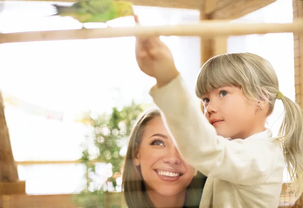 Famiglia con pappagallo — Foto Stock