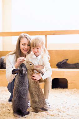 Neşeli aile kapalı