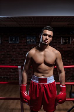 Boks eldivenli adam.