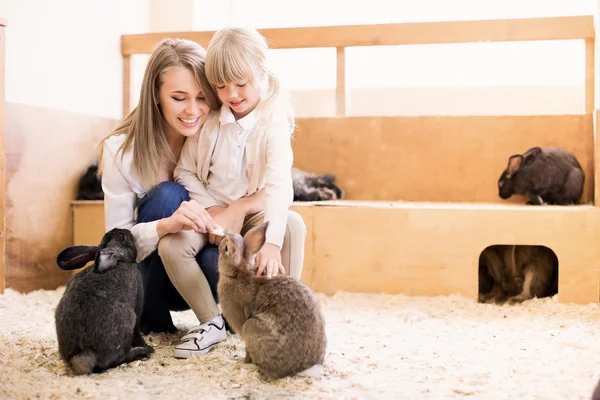 Glimlachende mensen met konijn — Stockfoto