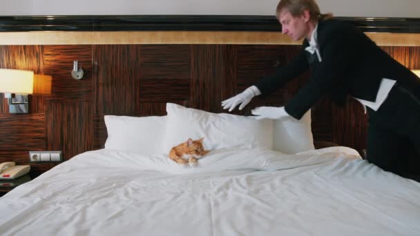 旅馆里穿着制服的巴特勒把枕头伸直给猫看 — 图库视频影像