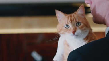Odadaki bir adamın omzunda kızıl kedi