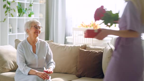 Jong meisje geeft bloemen naar oudere moeder thuis — Stockvideo