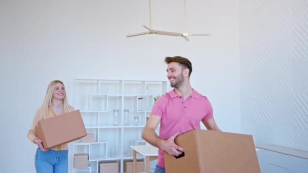 Excited young woman and bearded guy stack cardboard boxes — Stockvideo