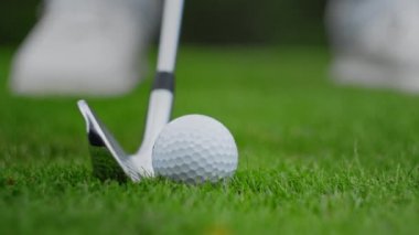 Golf sopası yeşil çimlerde topa vuruyor.