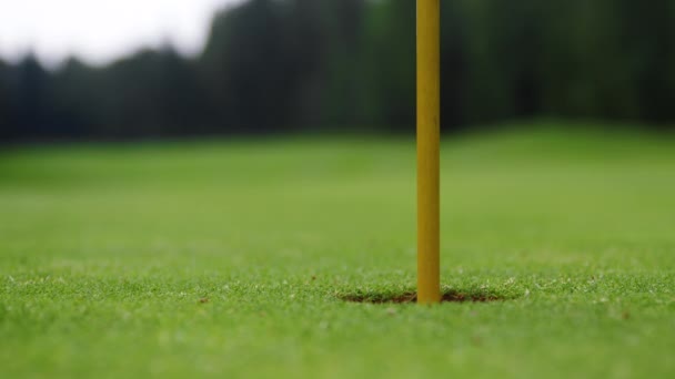 Una pelota de golf rodando en un agujero — Vídeos de Stock