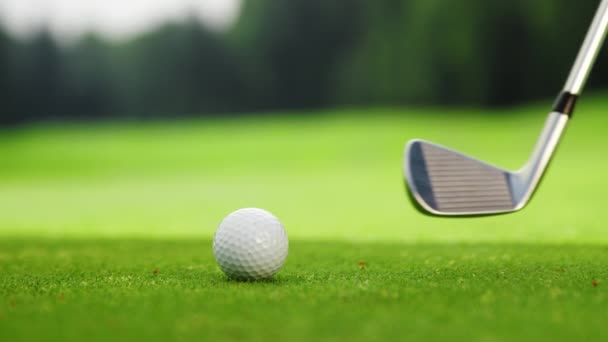 Golfklubb och boll på golfbanan — Stockvideo