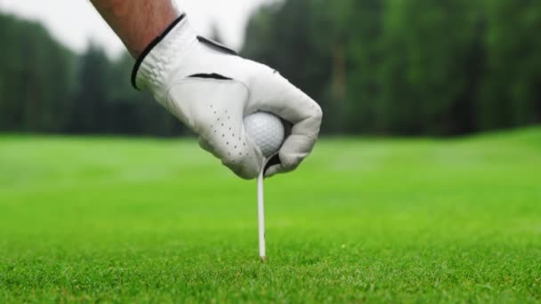 Mano masculina en un guante de golf pone la pelota — Vídeo de stock