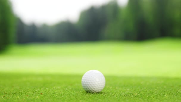 Чоловік в рукавичці збирає м'яч для гольфу на траві — стокове відео
