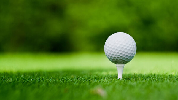 Golf ball on the green lawn, close-up