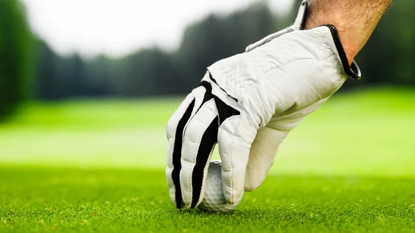 Männliche Hände Einem Weißen Handschuh Bringen Einen Golfball Auf Den — Stockfoto