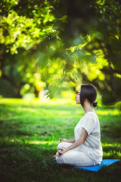 Lotus — Stock Photo, Image