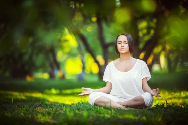 In the park — Stock Photo, Image