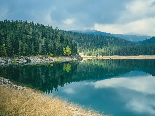 National park — Stock Photo, Image