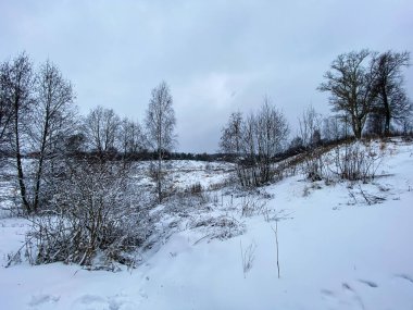 Karlı bir ormanda kış doğasının fotoğrafı.