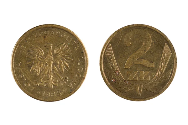 화이트에 폴란드 동전 — 스톡 사진
