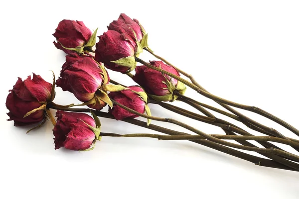 Bouquet of withered roses against a white background — Stock Photo, Image