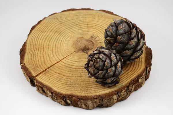 Trä cirkel med en split skära av loggen och två kottar — Stockfoto
