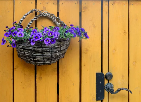 Korg Med Blå Blommor Gult Staket Och Dörrknopp Stockbild