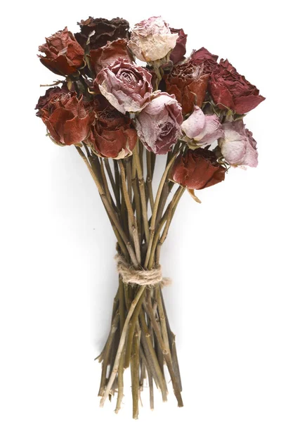 Bouquet Dried Roses White Background Royalty Free Stock Images