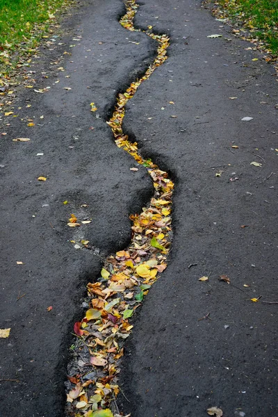 Vyplavená Cesta Deštěm Podzimním Parku — Stock fotografie