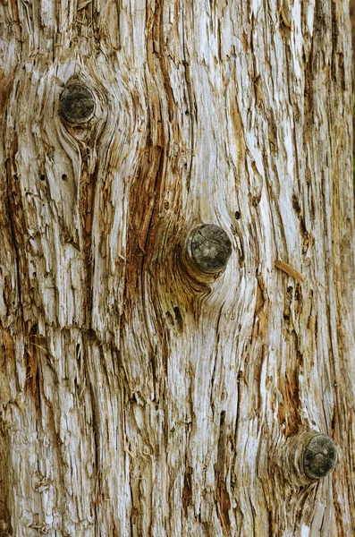 Деревянный гранжевый трещиноватый фон — стоковое фото