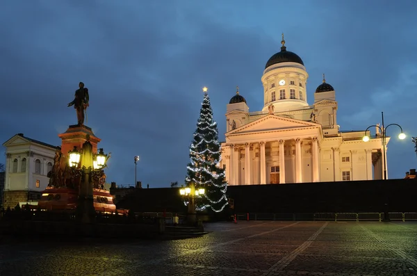 2012 年 11 月 25 日，芬兰首都赫尔辛基: 圣诞树在晚上 — 图库照片