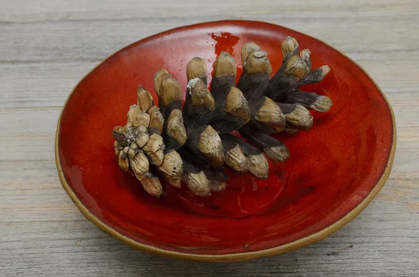 Pine cones on a red ceramic bowl — Stock Photo, Image