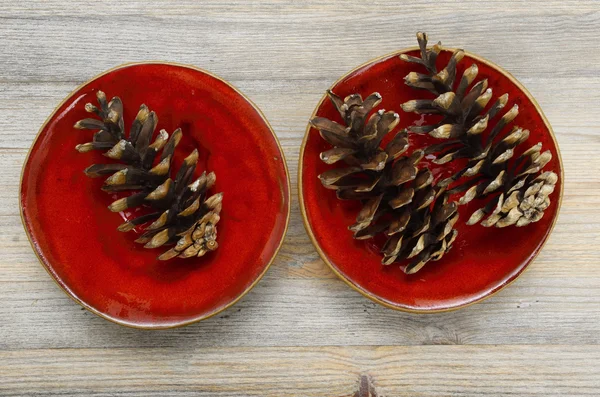 Three pine cones on a red ceramic bowl — Stock Photo, Image