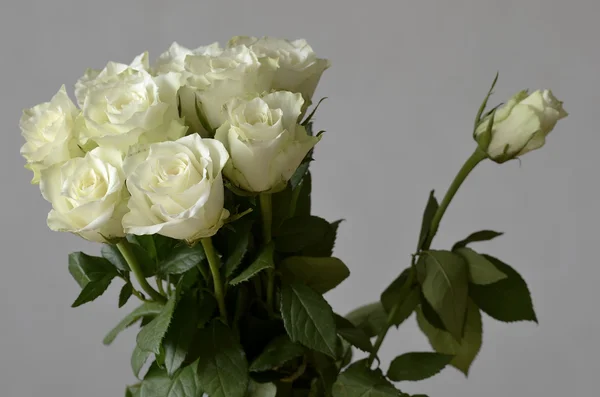 Bouquet of roses and a rose unblown — Stock Photo, Image