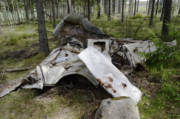 Remains of the car in forest — Stock fotografie