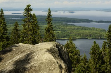 Üstten Görünüm, Koli Milli Parkı, Finlandiya