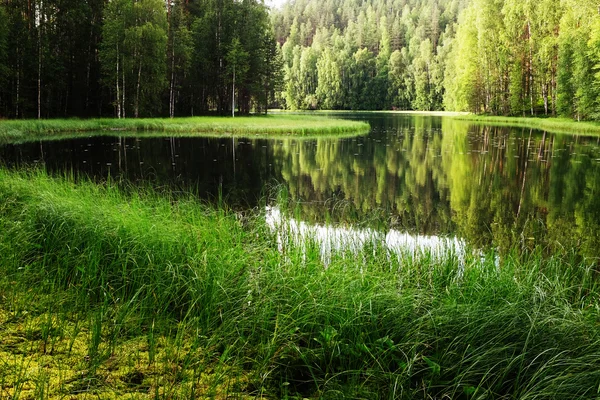 Вид на реку в Финляндии — стоковое фото